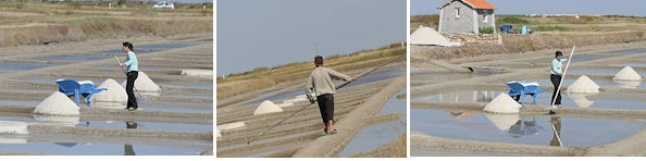 marais salants les angibauds